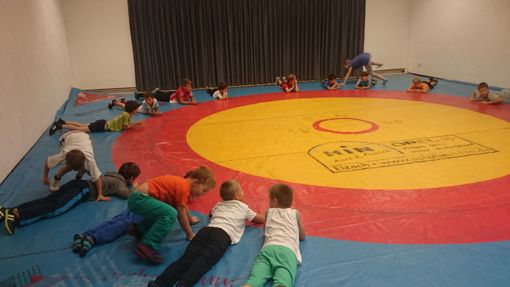 Schnuppertraining in Hausach
