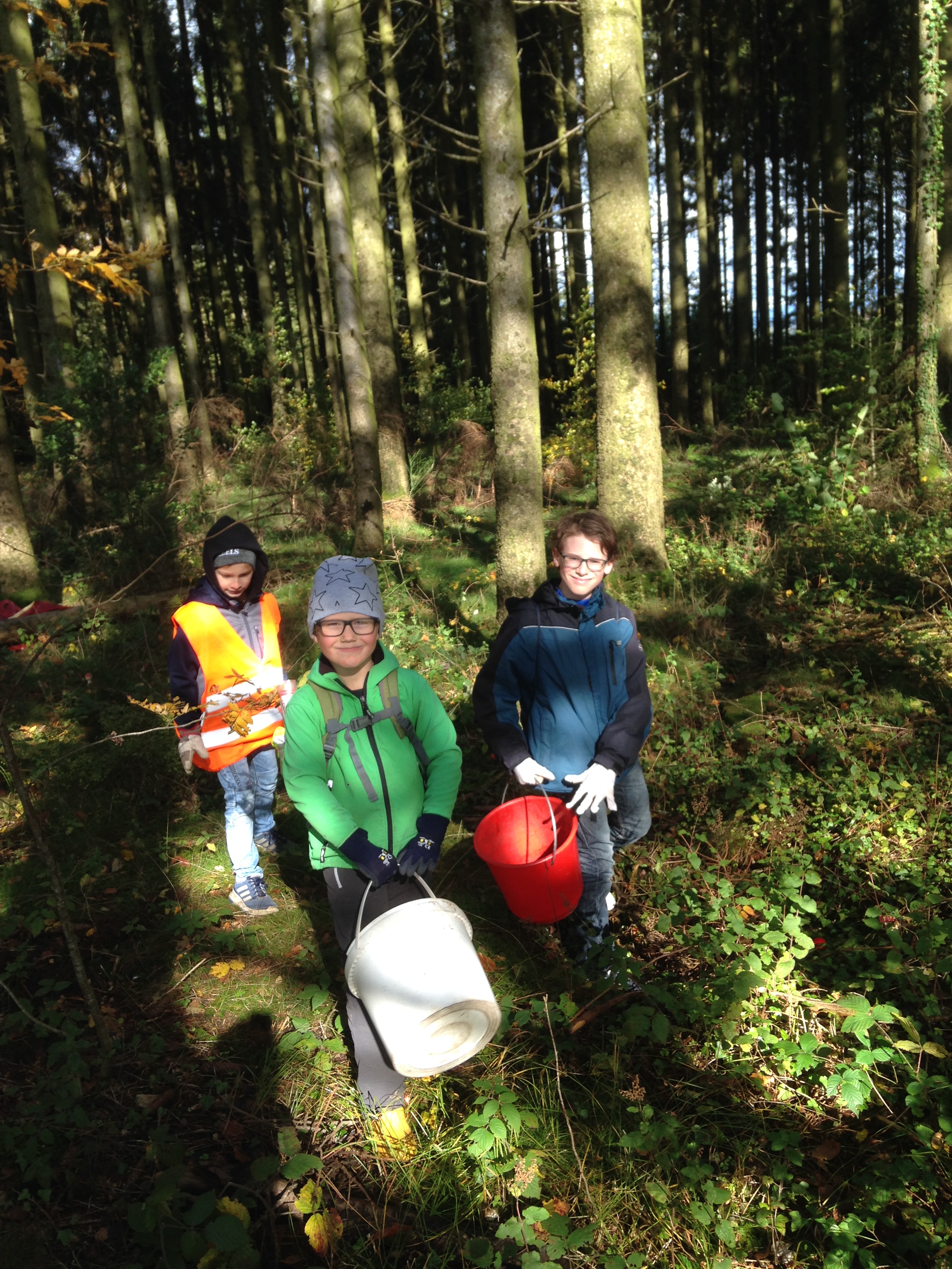 20201029 Bild Waldputzen